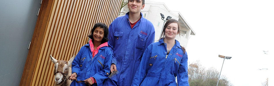 Three Animal management students with a goat